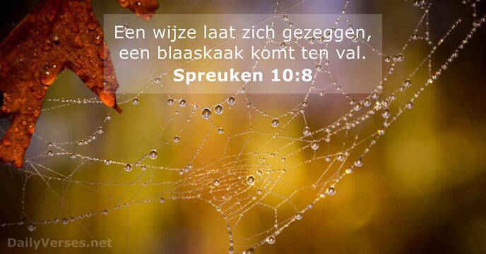 spreuken 10:8