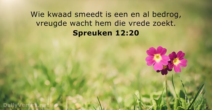 spreuken 12:20