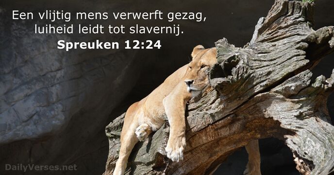 spreuken 12:24