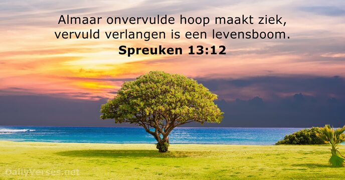 Spreuken 13:12