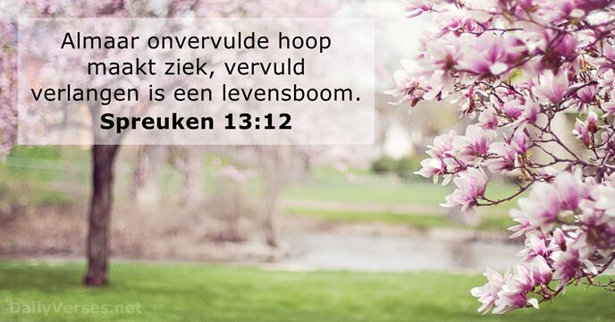 Spreuken 13:12