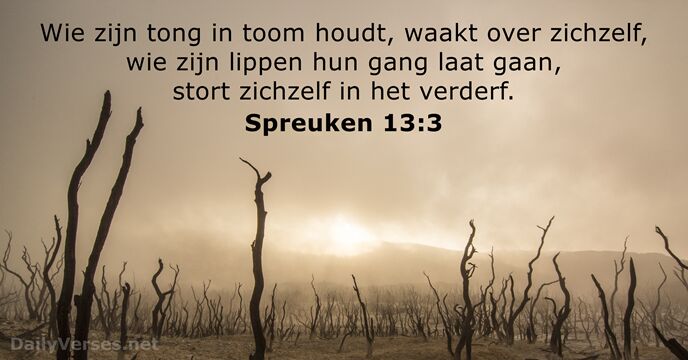 spreuken 13:3