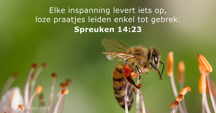 Spreuken 14:23