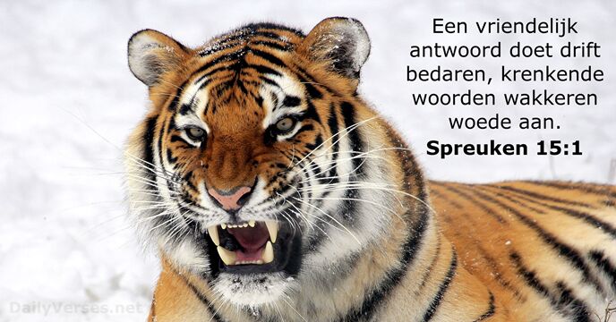 spreuken 15:1