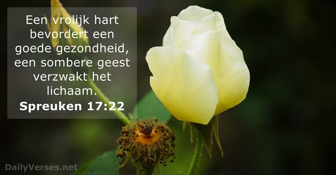 spreuken 17:22