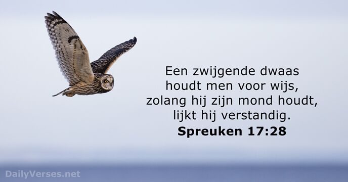 Spreuken 17:28
