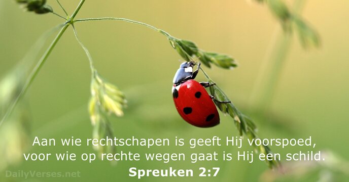 spreuken 2:7