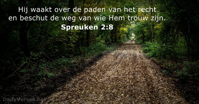 spreuken 2:8