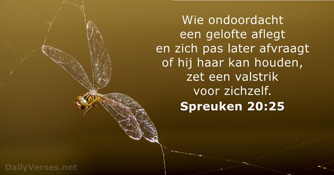 spreuken 20:25