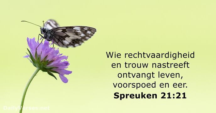 Spreuken 21:21