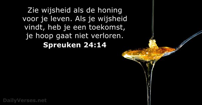 spreuken 24:14