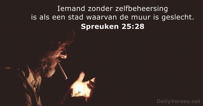 Spreuken 25:28