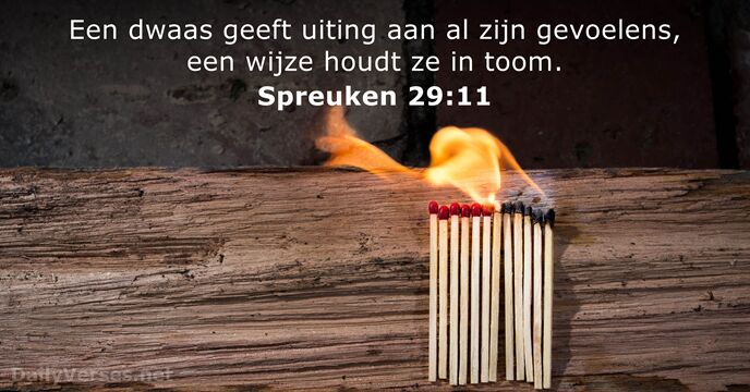 Spreuken 29:11