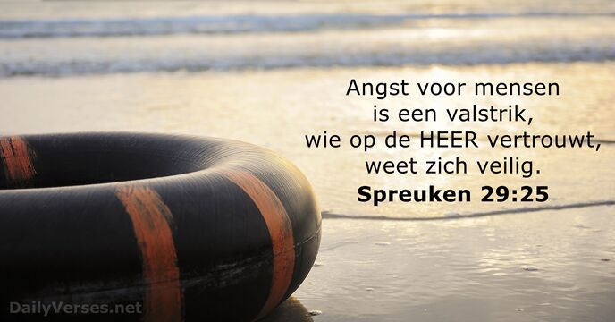 Spreuken 29:25