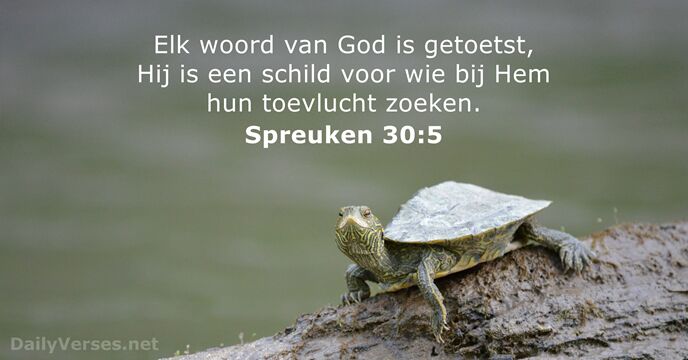 Spreuken 30:5