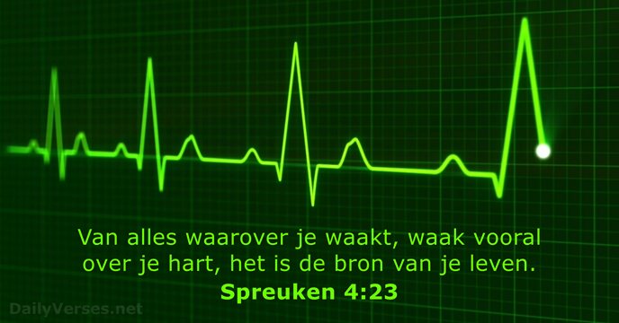 spreuken 4:23