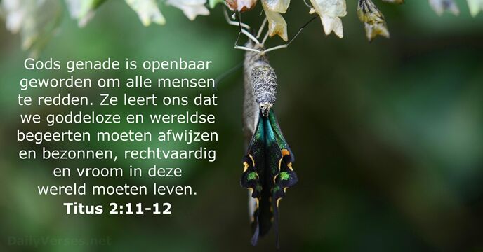Titus 2:11-12