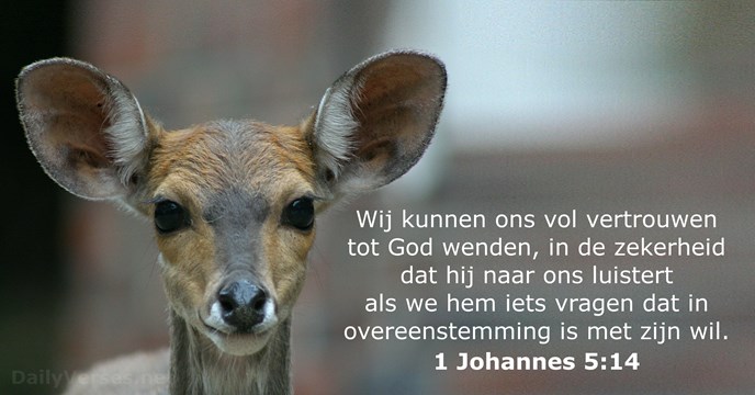 1 Johannes 5:14
