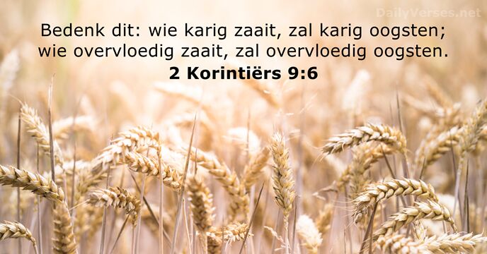 Bedenk dit: wie karig zaait, zal karig oogsten; wie overvloedig zaait, zal overvloedig oogsten. 2 Korintiërs 9:6