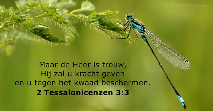 Maar de Heer is trouw, Hij zal u kracht geven en u… 2 Tessalonicenzen 3:3