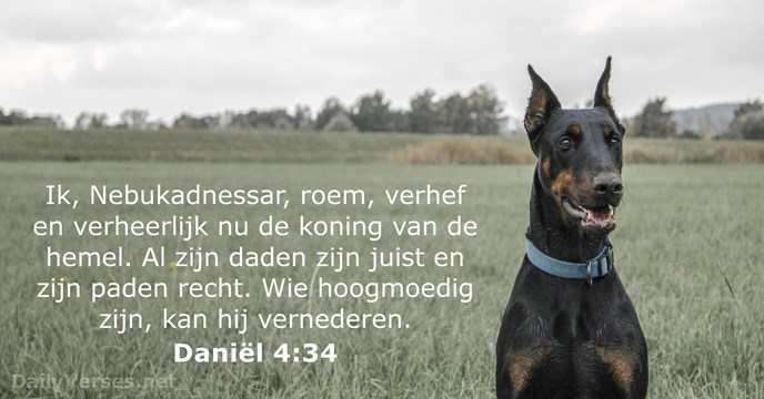 Daniël 4:34