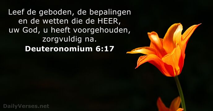 Deuteronomium 6:17