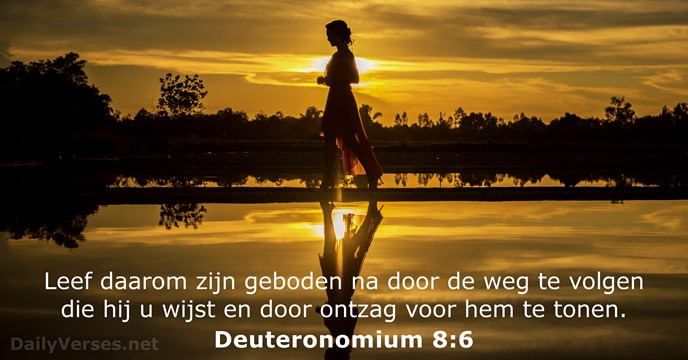 Deuteronomium 8:6
