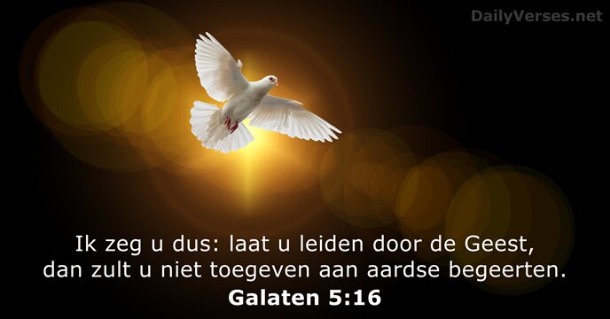 Ik zeg u dus: laat u leiden door de Geest, dan zult… Galaten 5:16