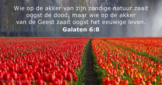 Galaten 6:8