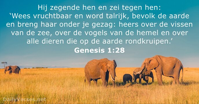 Genesis 1:28