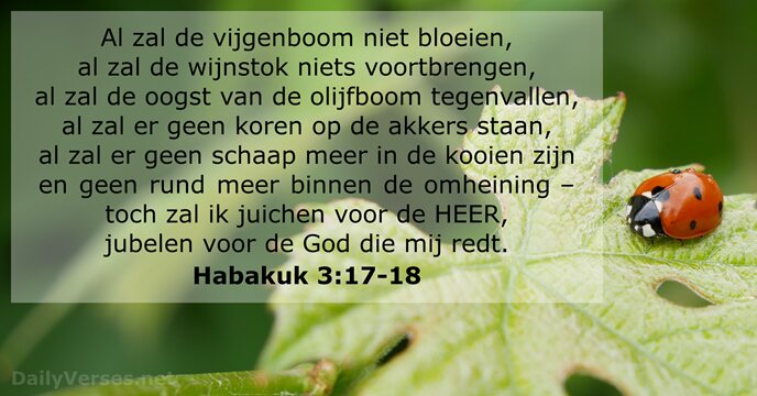 Al zal de vijgenboom niet bloeien, al zal de wijnstok niets voortbrengen… Habakuk 3:17-18