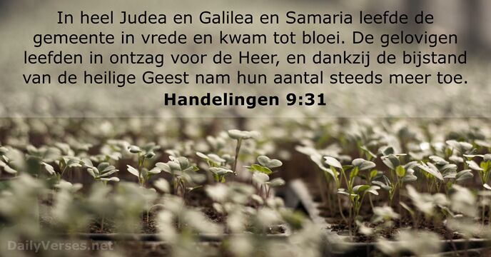 In heel Judea en Galilea en Samaria leefde de gemeente in vrede… Handelingen 9:31