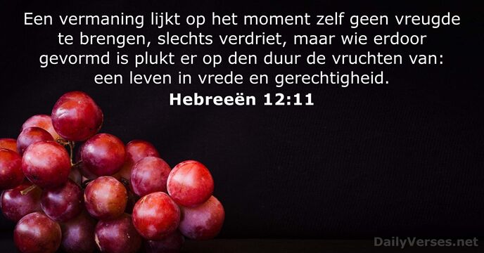 Hebreeën 12:11