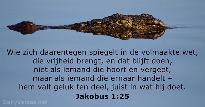 Jakobus 1:25