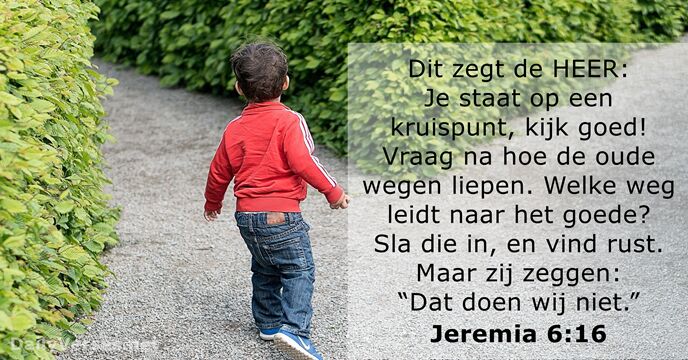 Dit zegt de HEER: Je staat op een kruispunt, kijk goed! Vraag… Jeremia 6:16