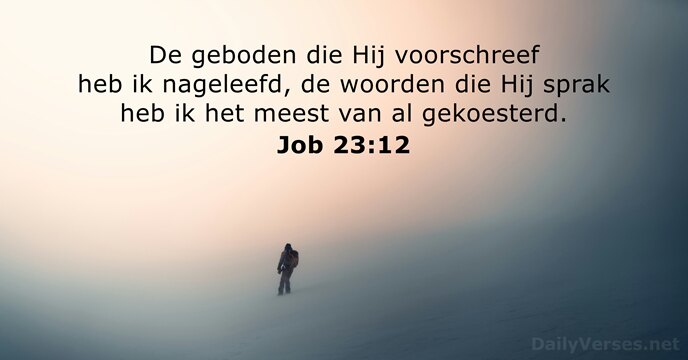 Job 23:12