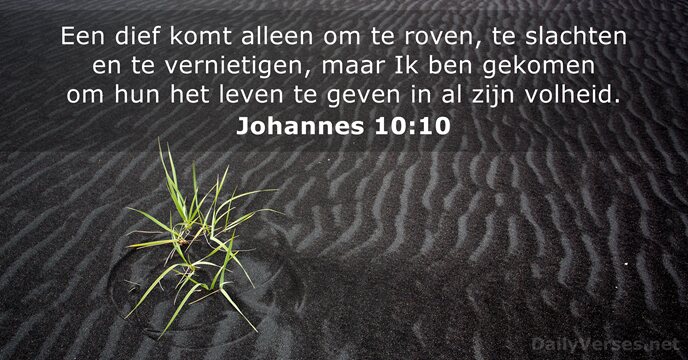 Johannes 10:10