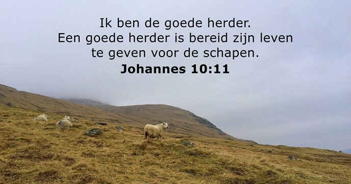 Ik ben de goede herder. Een goede herder is bereid zijn leven… Johannes 10:11