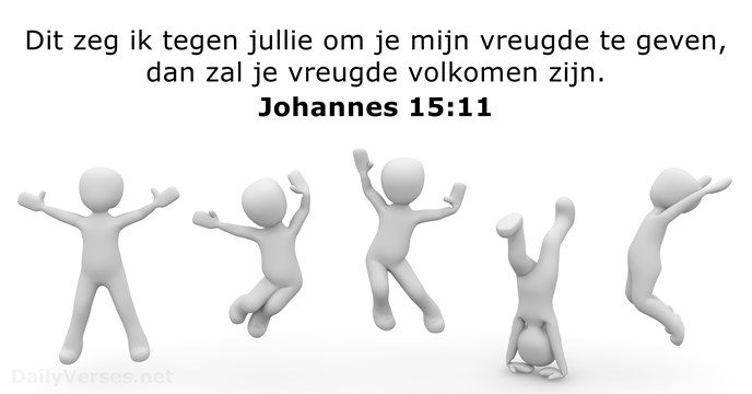 Johannes 15:11