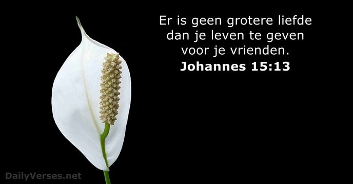 Johannes 15:13