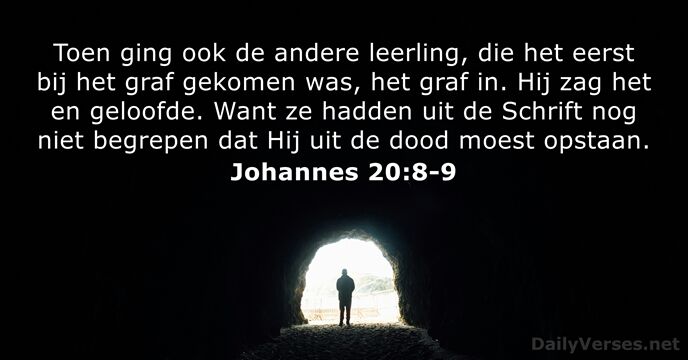 Johannes 20:8-9