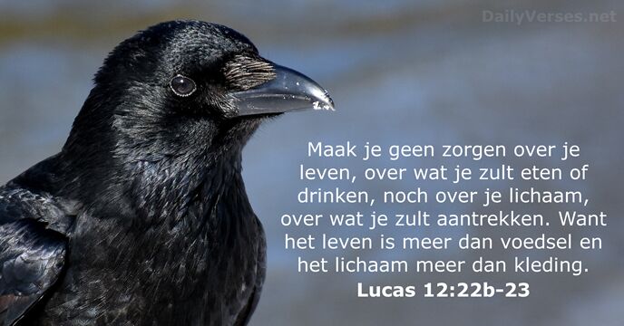 Lucas 12:22b-23