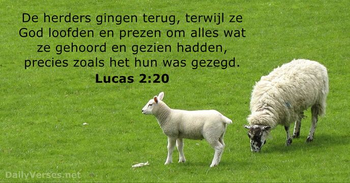 De herders gingen terug, terwijl ze God loofden en prezen om alles… Lucas 2:20
