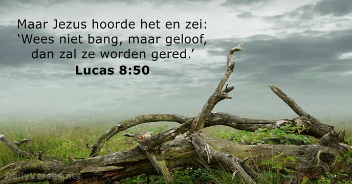 Lucas 8:50