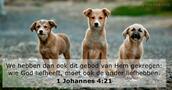 1 Johannes 4:21