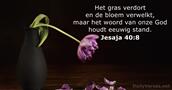 Jesaja 40:8