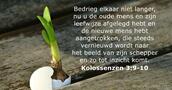 Kolossenzen 3:9-10