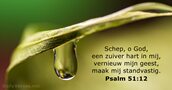 Psalmen 51:12