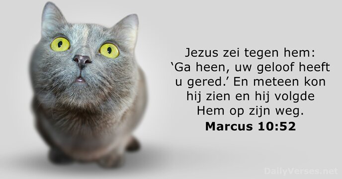 Marcus 10:52