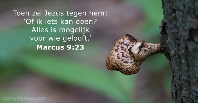 Marcus 9:23